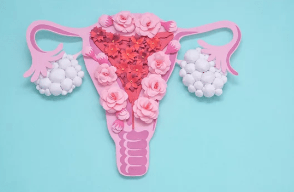 afbeelding van PCOS bij vrouwen in twee eierstokken door pure womb