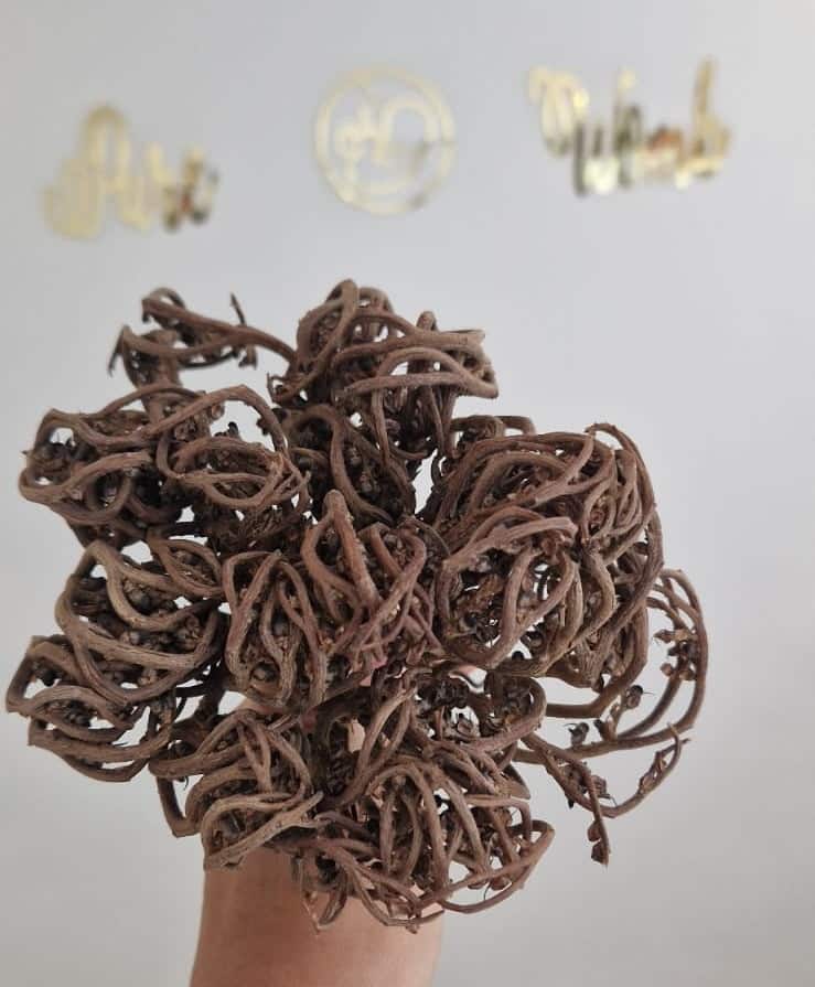 Bloem van Maryam - Afbeelding 2